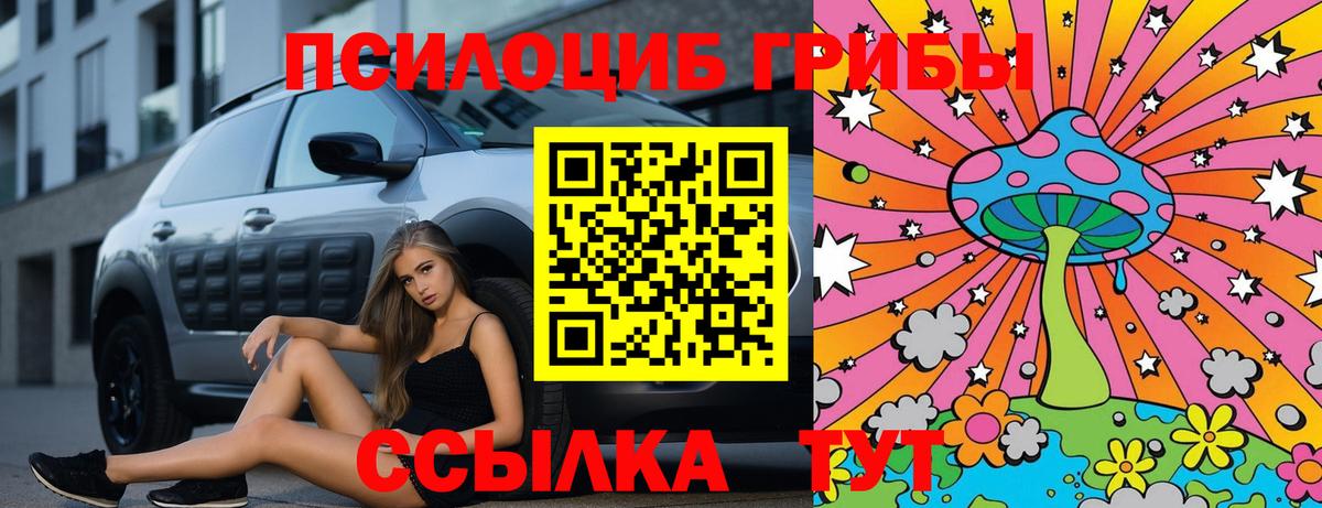 Псилоцибиновые грибы Psilocybine cubensis  Вход с VPN  Белая Калитва 